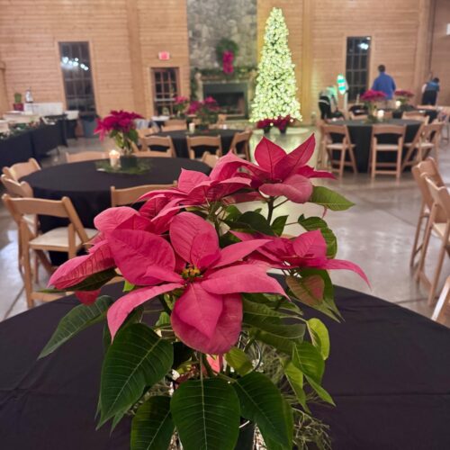 Merry Christmas from Carolina Commercial Contractors!